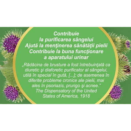 Ceai radacina de brusture P132, 50 g, Fares 618617