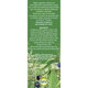 Ceai pentru Articulatii Sanatoase, 50 g, Fares 623604