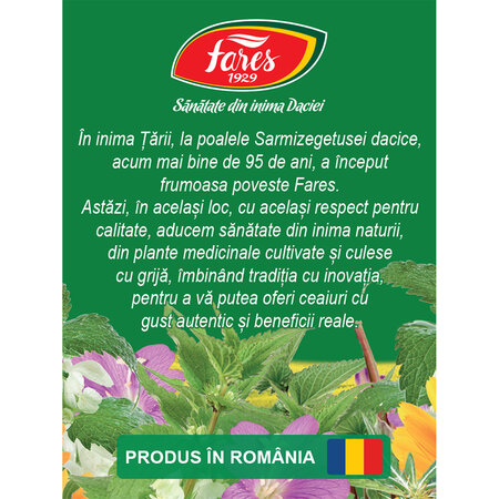 Ceai prostata G74, 20 plicuri, Fares 700798