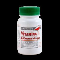 Vitamina E si Germeni de grau, 90 capsule, Pro Natura