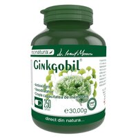 Ginkgobil, 250 capsule, Pro Natura