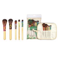 Set pensule pentru machiaj, 5 bucati, Lionesse