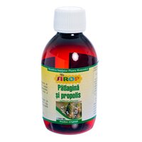 Sirop cu patlagina si propolis, 200 ml, Elidor