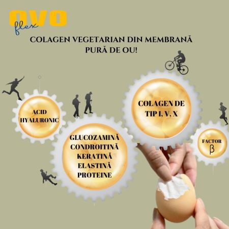 Ovo Flex, 30 capsule vegetale, Alchida Nature 659405