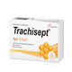 Trachisept Api Vital, 16 comprimate, Labormed 617537