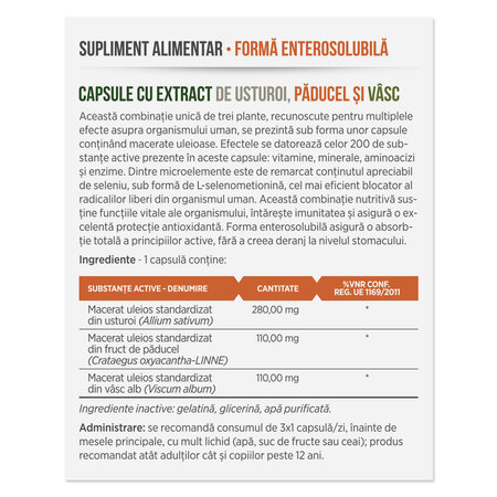 Capsule cu extract de Usturoi cu Paducel si Vasc, 30 capsule, Parapharm 690110