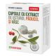 Capsule cu extract de Usturoi cu Paducel si Vasc, 30 capsule, Parapharm 690109