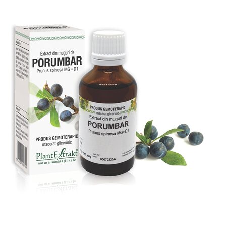 Extract din muguri de Porumbar, 50 ml, Plant Extrakt 737223