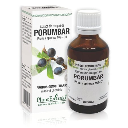 Extract din muguri de Porumbar, 50 ml, Plant Extrakt