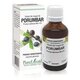Extract din muguri de Porumbar, 50 ml, Plant Extrakt 737222
