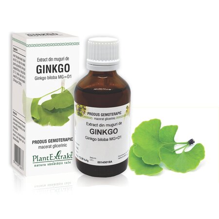 Extract din muguri de Ginkgo Biloba, 50 ml, Plant Extrakt 736946