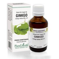 Extract din muguri de Ginkgo Biloba, 50 ml, Plant Extrakt