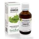 Extract din muguri de Ginkgo Biloba, 50 ml, Plant Extrakt 736945