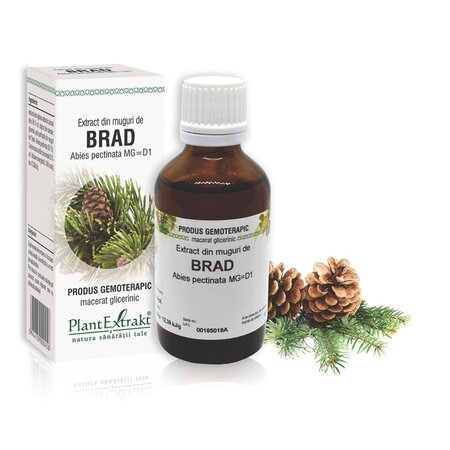 Extract din muguri de Brad, 50 ml, Plant Extrakt 735245