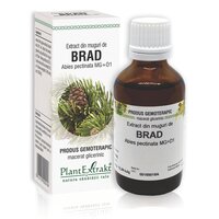 Extract din muguri de Brad, 50 ml, Plant Extrakt