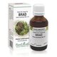 Extract din muguri de Brad, 50 ml, Plant Extrakt 735244