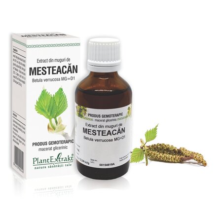 Extract din muguri de Mesteacan, 50 ml, Plant Extrakt 737170