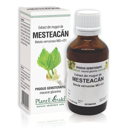 Extract din muguri de Mesteacan, 50 ml, Plant Extrakt