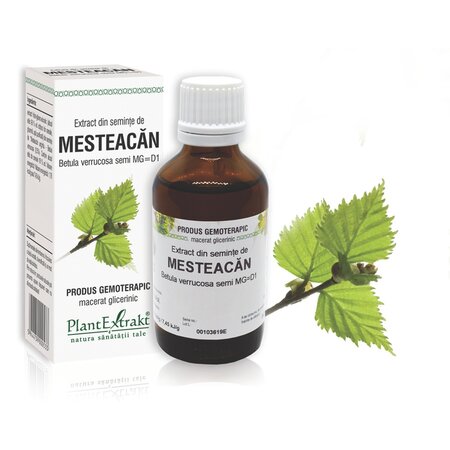 Extract din seminte de Mesteacan, 50 ml, Plant Extrakt 738251