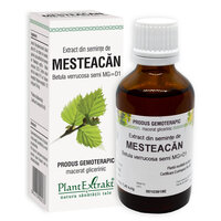 Extract din seminte de Mesteacan, 50 ml, Plant Extrakt