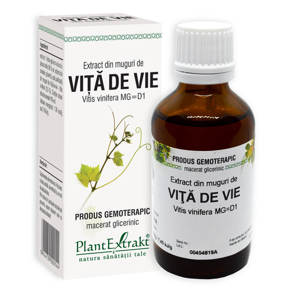 Extract din muguri de Vita de Vie, 50 ml, Plant Extrakt