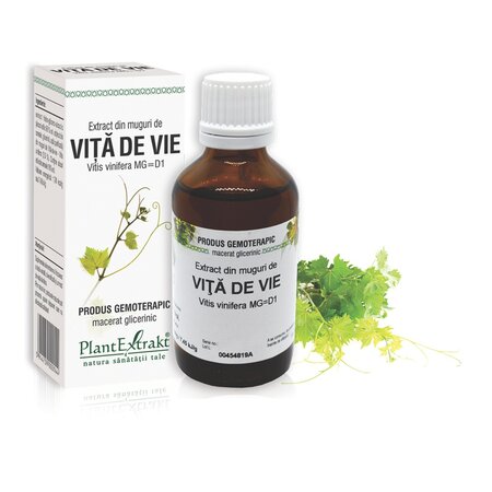 Extract din muguri de Vita de Vie, 50 ml, Plant Extrakt 738193