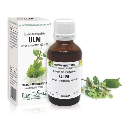 Extract din muguri de Ulm, 50 ml, Plant Extrakt 738176