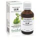 Extract din muguri de Ulm, 50 ml, Plant Extrakt 738175