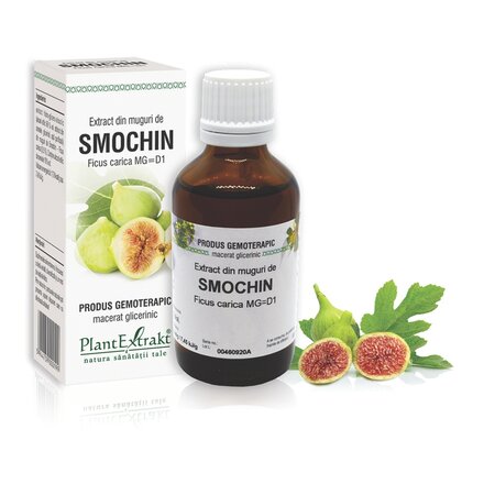 Extract din muguri de Smochin, 50 ml, Plant Extrakt 737314