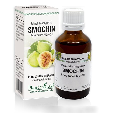 Extract din muguri de Smochin, 50 ml, Plant Extrakt