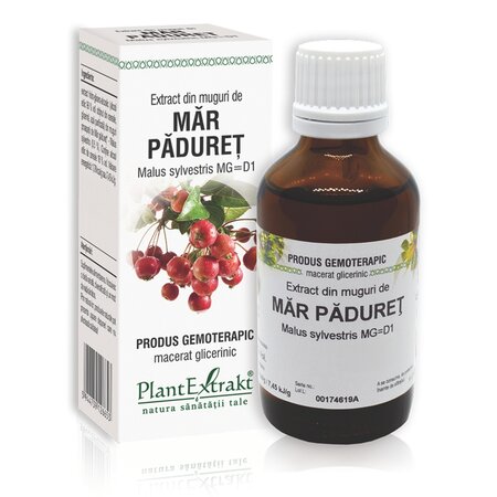 Extract din muguri de Mar Paduret, 50 ml, Plant Extrakt
