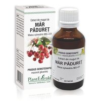 Extract din muguri de Mar Paduret, 50 ml, Plant Extrakt
