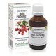 Extract din muguri de Mar Paduret, 50 ml, Plant Extrakt 737140