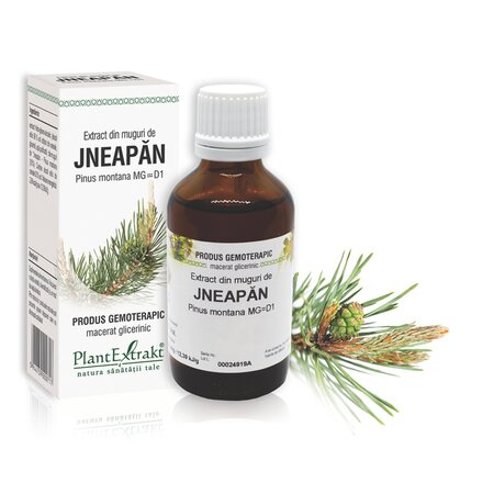 Extract din muguri de Jneapan, 50 ml, Plant Extract 736950