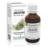 Extract din muguri de Jneapan, 50 ml, Plant Extract