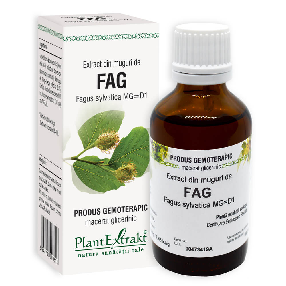 Extract din muguri de Fag, 50 ml, Plant Extrakt