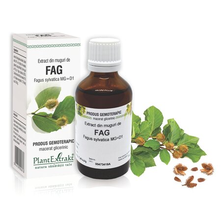 Extract din muguri de Fag, 50 ml, Plant Extrakt 736935