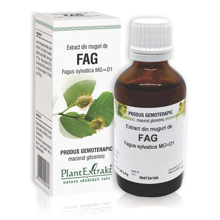 Extract din muguri de Fag, 50 ml, Plant Extrakt