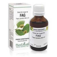 Extract din muguri de Fag, 50 ml, Plant Extrakt
