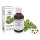 Extract din muguri de Fag, 50 ml, Plant Extrakt 736935