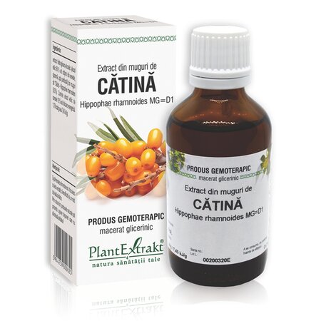 Extract din muguri de Catina, 50 ml, Plant Extrakt