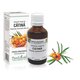 Extract din muguri de Catina, 50 ml, Plant Extrakt 735809