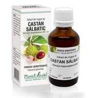 Extract din muguri de Castan salbatic, 50 ml, Plant Extrakt