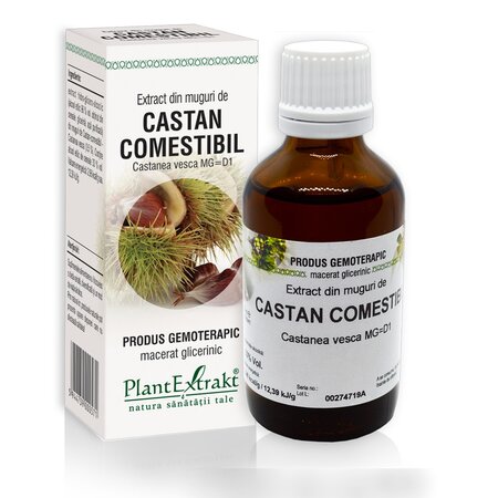Extract din muguri de Castan comestibil, 50 ml, Plant Extrakt