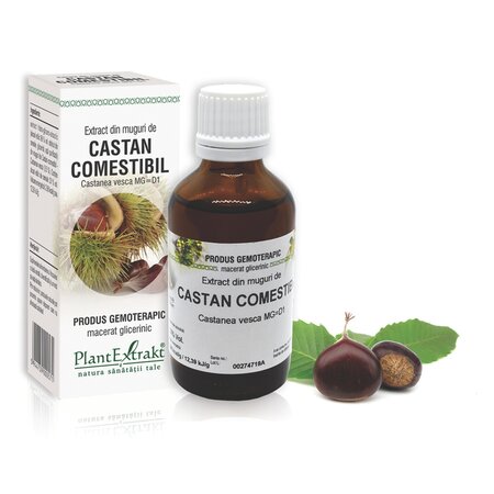 Extract din muguri de Castan comestibil, 50 ml, Plant Extrakt 735260