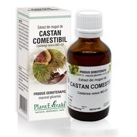 Extract din muguri de Castan comestibil, 50 ml, Plant Extrakt