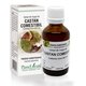 Extract din muguri de Castan comestibil, 50 ml, Plant Extrakt 735259