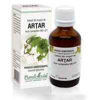 Extract din muguri de Artar, 50 ml, Plant Extrakt
