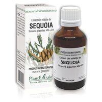 Extract din mladite de Sequoia, 50 ml, Plant Extrakt