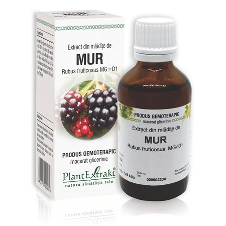 Extract din mladite de mur, 50 ml, Plant Extrakt